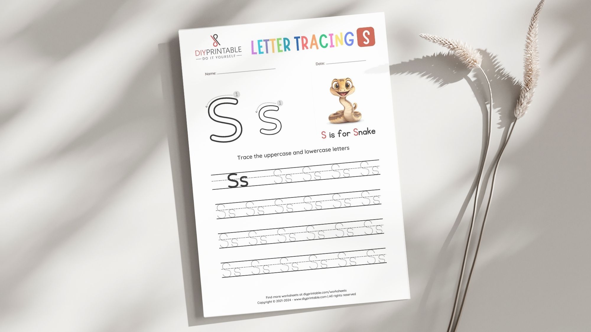 Tracing the Letter S